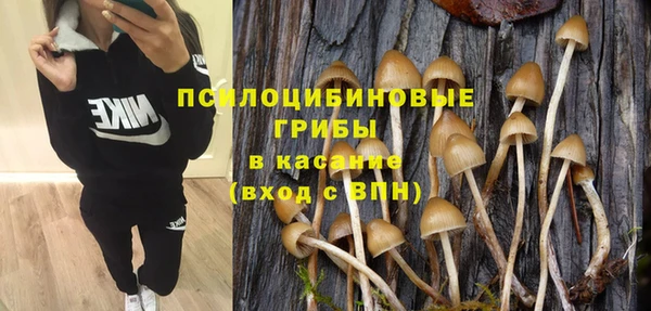 амф Нефтекумск