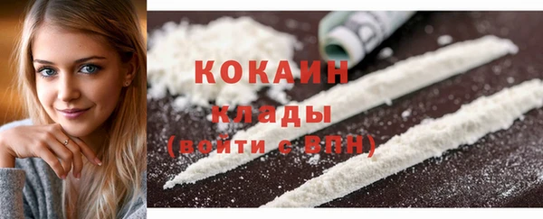 винт Нея
