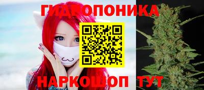 дживик Жуковский
