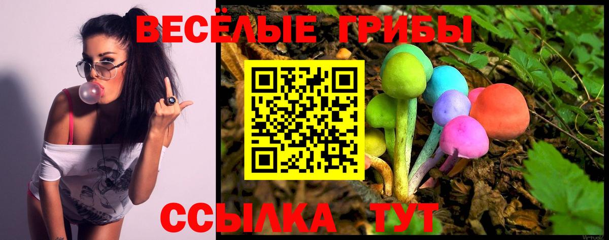 Псилоцибиновые грибы GOLDEN TEACHER  цена наркотик  Пятигорск  Галлюциногенные грибы ЛСД  Вход с VPN 