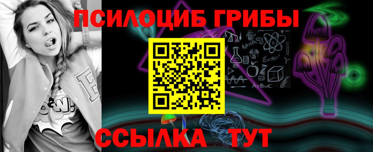 Галлюциногенные грибы прущие грибы Пятигорск