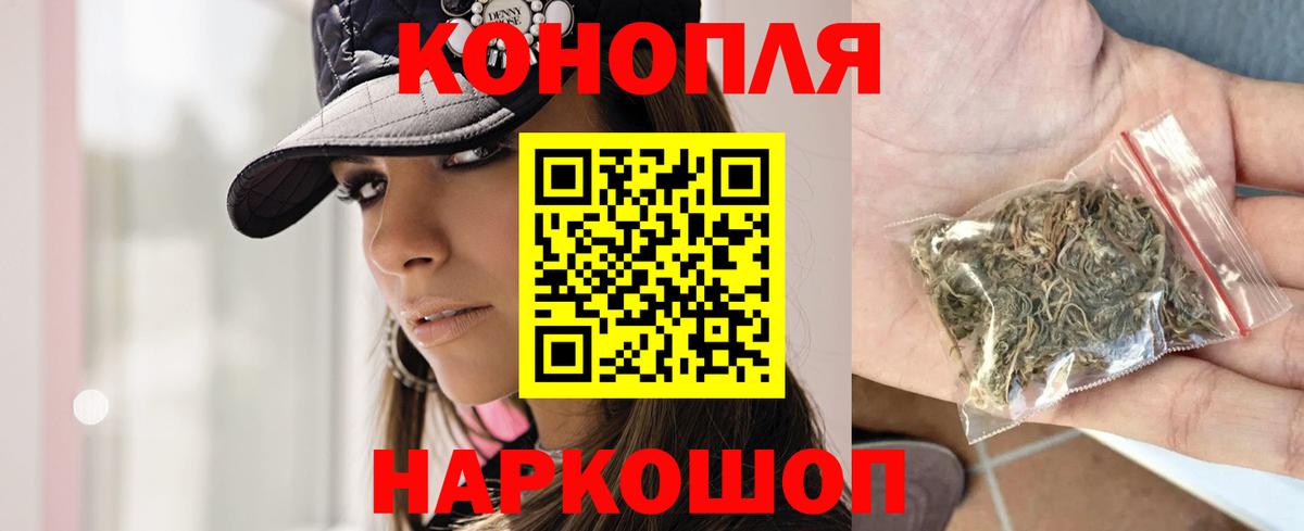 Каннабис индика  Каннабис индика  Пятигорск  Каннабис индика  Каннабис индика 